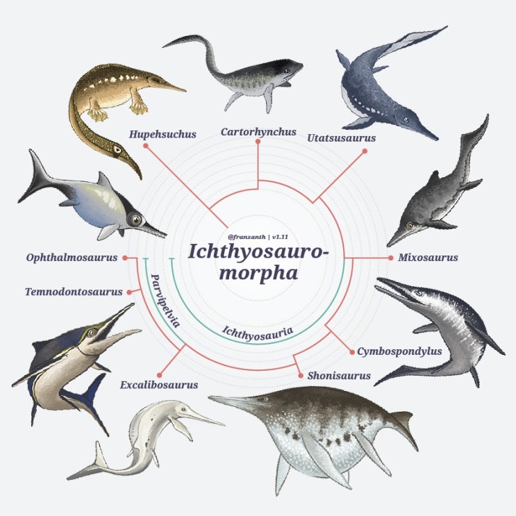 1. Ichthyosauromorpha : 네이버 블로그