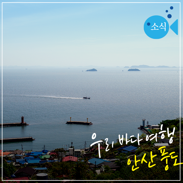 경기도 가볼만한곳, 우리 바다 여행 안산 풍도 : 네이버 블로그