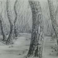 소나무숲 - 소묘