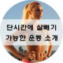 짧은시간에 체지방 감량이 가능한 운동을 소개해요