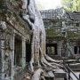 캄보디아 씨엠립 타프롬 사원 TA PROHM (툼레이더 촬영지)1.