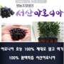 아로니아효능 100% 제대로 알고 먹기 100% 원액착즙 서산아로니아