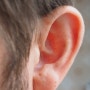 우리가 꼭 알아야 할 건강 소리정보 4탄 `귀 건강에 좋은 음식 `