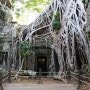 캄보디아 씨엠립 타프롬 사원 TA PROHM (툼레이더 촬영지) 2.