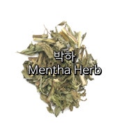 박하(Mentha Herb)