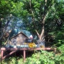 별빛 휴양림 캠핑장 : 숲 속 캠핑 - 남양주