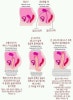 sexual positions for small penis
