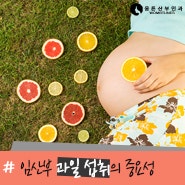 [마포산부인과]임신 중 과일 섭취(임산부 먹으면 안되는 과일)