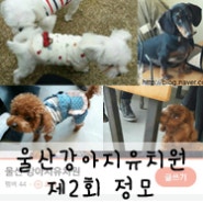 [강아지정모]제2회 강아지유치원 정모