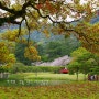 빵순이가 행복한 일본여행 ⑪ 카가와현 다카마츠 여행이라면 일단 리쓰린공원(栗林公園) 벚꽃