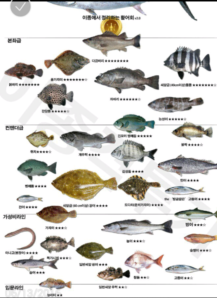 바다 물고기 이름