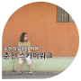 춘천 당일치기 코스 :: 춘천 스카이워크