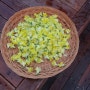 금어초 꽃차 만들기