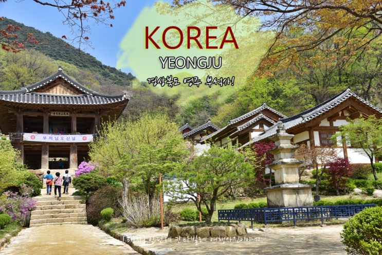 영주 부석사 무량수전에 오르다! [영주 가볼만한곳] : 네이버 블로그