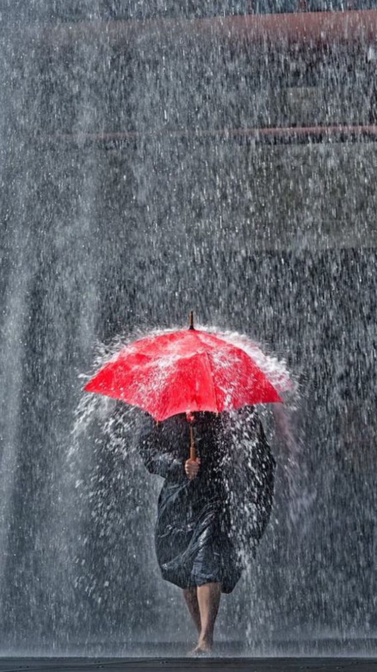 비오는 배경화면 * 아이폰 배경화면 : 네이버 블로그, image size:743x1322