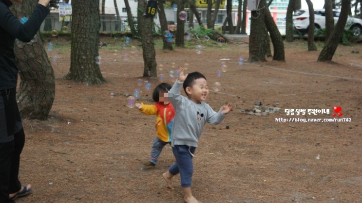 울산 근처 가까운 오토캠핑장 감포 송림오토캠핑장 다녀왔어요. : 네이버 블로그