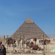 # 이집트 여행 : 카이로 여행기(2) - 기자 피라미드, 스핑크스 관광, 시간, 가격