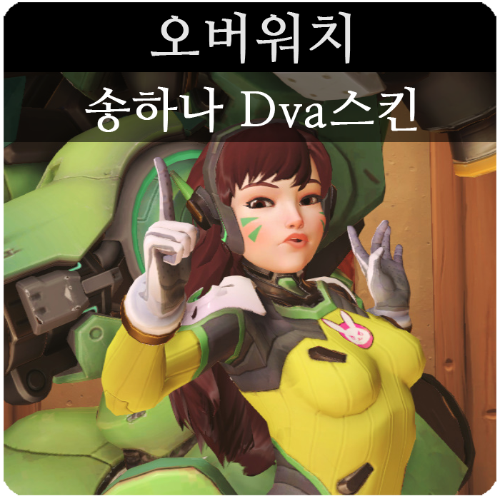 송하나 D.va 디바 스킨 정리해봅시다 : 네이버 블로그