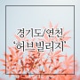 경기도 가볼만한곳 연천 허브빌리지에서 힐링하고 와요