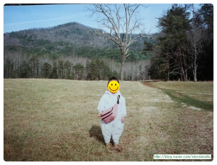 멋진 스모키 마운틴 국립공원에서 만난이야기 : 네이버 블로그