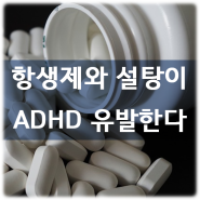 항생제와 설탕이 ADHD 유발한다