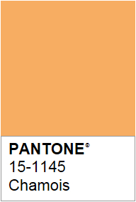 오늘의컬러 PANTONE COLOR 15-1145/20160621 팬톤 컬러칩 : 네이버 블로그