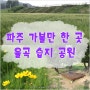 조용한 파주 율곡 습지 공원에서 힐링하기 + 파주 가볼 만한 곳