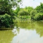나들이 가기 좋은 타이베이 다안공원(Daan Park)