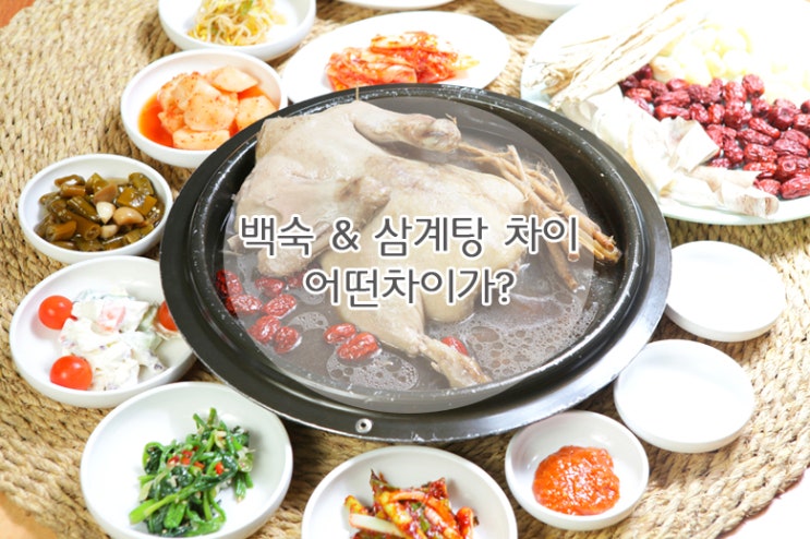 백숙 & 삼계탕 차이 어떤차이가? : 네이버 블로그