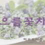 광주 허브뜨레종 교육문화원 - 산야초 & 꽃차 소믈리에 << 으름 덖음 꽃차>>