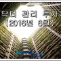 머니닥터 유용현팀장의 투자자산 관리현황(2016. 6. 28일 기준)