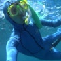 [호주워홀#100-케언즈4] 그레이트 베리어 리프, 크루즈 투어, 스노클링-Great Barrier Reef, Reef Cruise