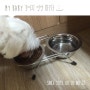 [강아지 영양 파우더] 닥터독 소간 천연 영양 파우더