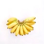 이번 휴가철 몸매대비는 바나나다이어트로! 바나나의 효능을 알아볼까요?