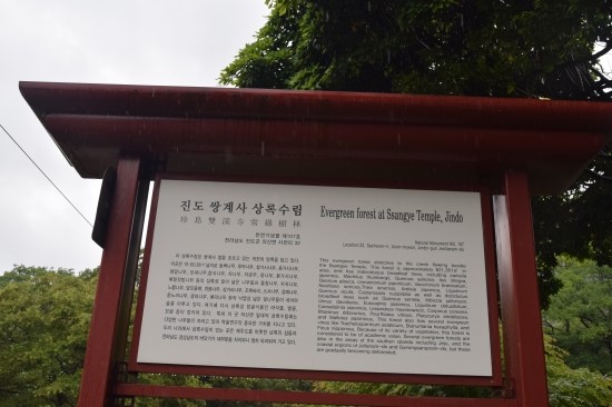 [전남]진도  진도 쌍계사 상록수림 천연기념물  제107호