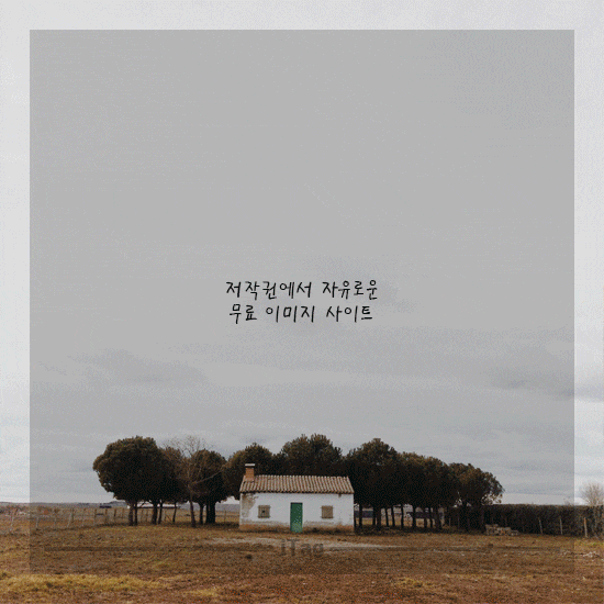저작권에서 자유로운 무료 이미지 사이트 : 네이버 블로그