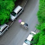 [풍경사진] 빗속의 재잘거림 by 포토그래퍼 원종호