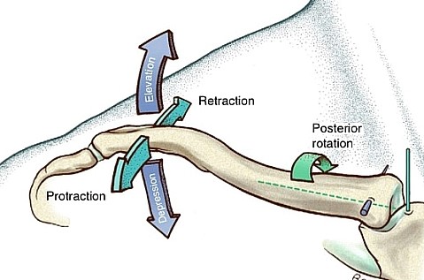 sc joint , ac joint movement : 네이버 블로그