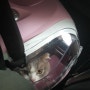 [스코티시폴드] 스코티시폴드 제리 고양이 데리고 항공편으로 미국가기 - 비행기 수속