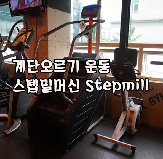 스텝밀머신 (Stepmill machine) 천국의 계단오르기 운동기구! 일산피티 플렉스짐 : 네이버 블로그