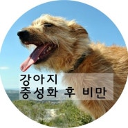 강아지 중성화 후 비만 !!