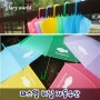글로리월드 파스텔 비닐 자동우산/ 투명우산/ 5색 우산