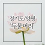 양평 가볼만한곳 연꽃 구경하러 가요~