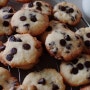 초코칩쿠키 : mini chocolate chip cookies : 레이디디저트