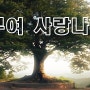 [부여 관광지]부여 성흥산성 사랑나무~
