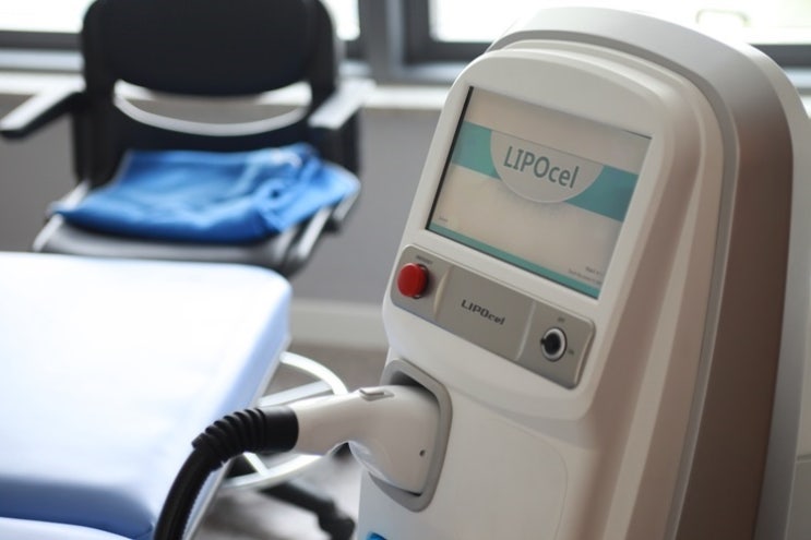복부비만제거 정말 간절해..리포셀(LIPOcel)아 도와줘.. : 네이버 블로그