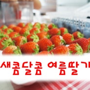 <여름딸기>여름철 어린이 임산부 영양간식