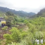 대만자유여행3박4일 "기차 타고 루이펑으로~ 우육면과 밀크티"