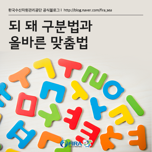 되 돼 구분과 안되 안돼 어떻게 써야 올바른 맞춤법일까? : 네이버 블로그