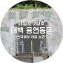 [태백 여행] 대한민국에서 제일 높은, 태백 용연동굴 - 내일로 2일차